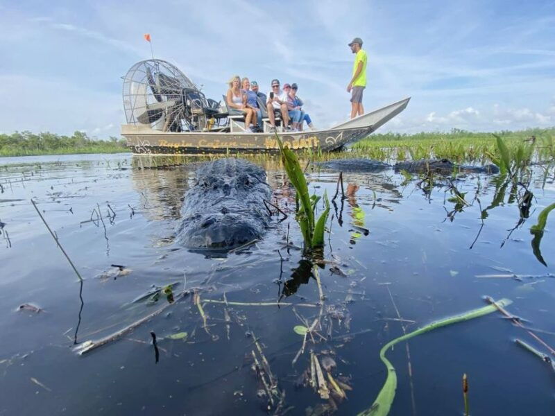 new-orleans-10-passenger-airboat-swamp-tour