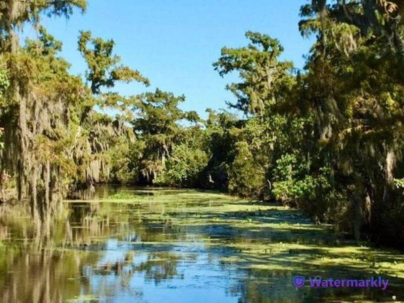 new-orleans-airboat-swamp-city-and-katrina-tour-combo