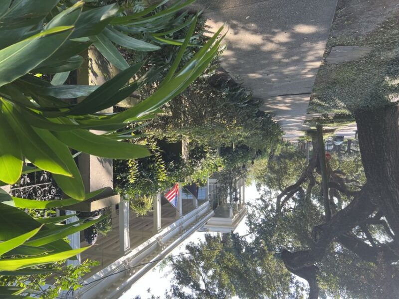 new-orleans-garden-district-architecture-walking-tour
