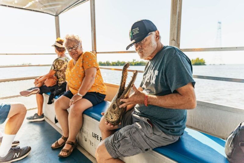 new-orleans-guided-swamp-cruise-by-tour-boat