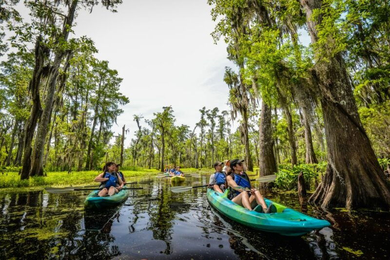 new-orleans-manchac-magic-kayak-swamp-tour