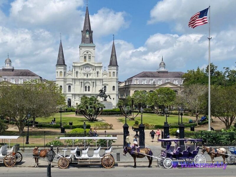 new-orleans-oak-alley-plantation-and-katrina-city-tour