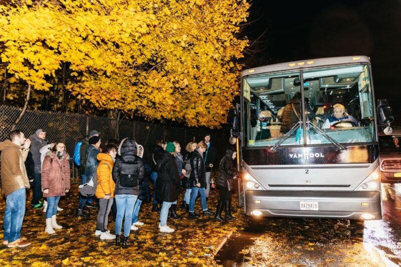 nyc-dyker-heights-christmas-lights-skyline-view-bus-tour