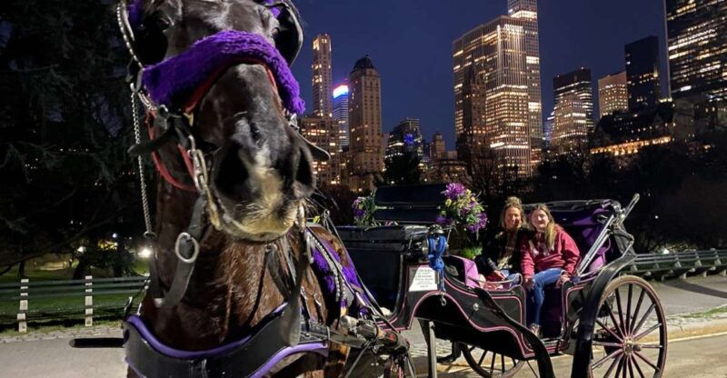 nyc-private-christmas-lights-horse-carriage-ride-2