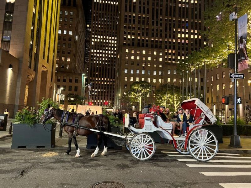 nyc-private-christmas-lights-horse-carriage-ride