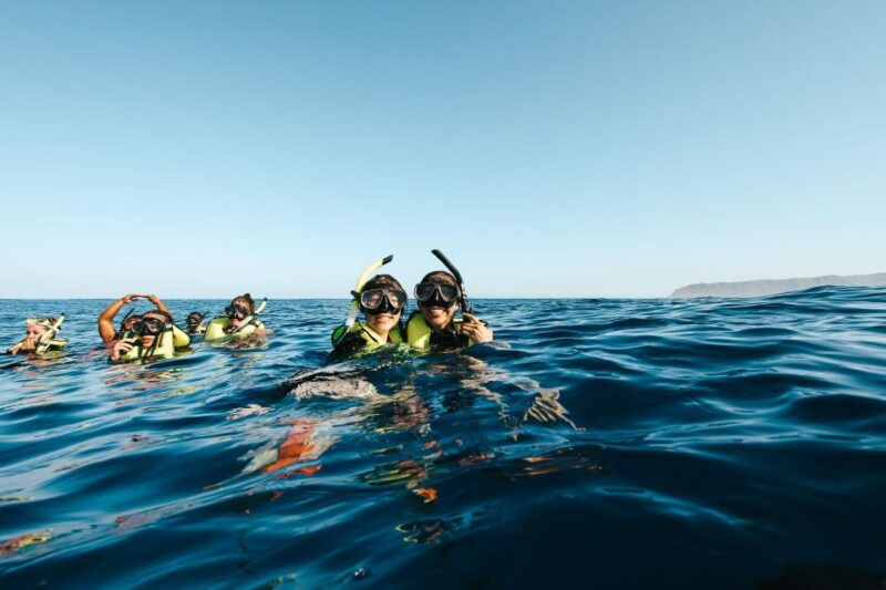 oahu-dolphin-swim-and-snorkeling-speedboat-tour