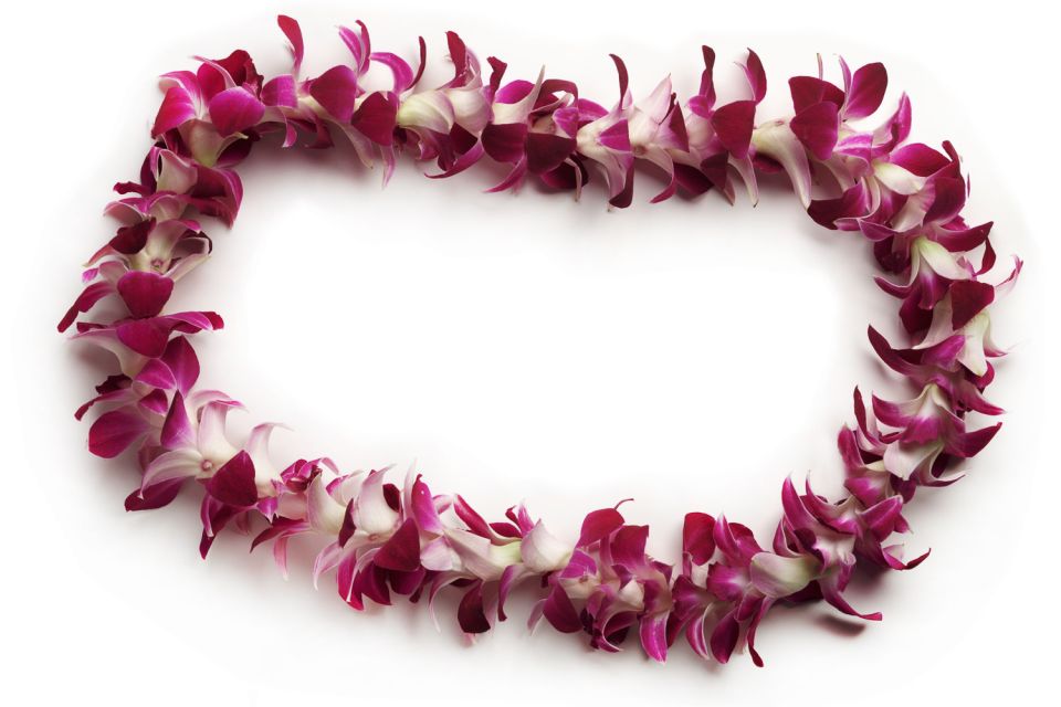 oahu-honolulu-airport-hnl-traditional-lei-greeting
