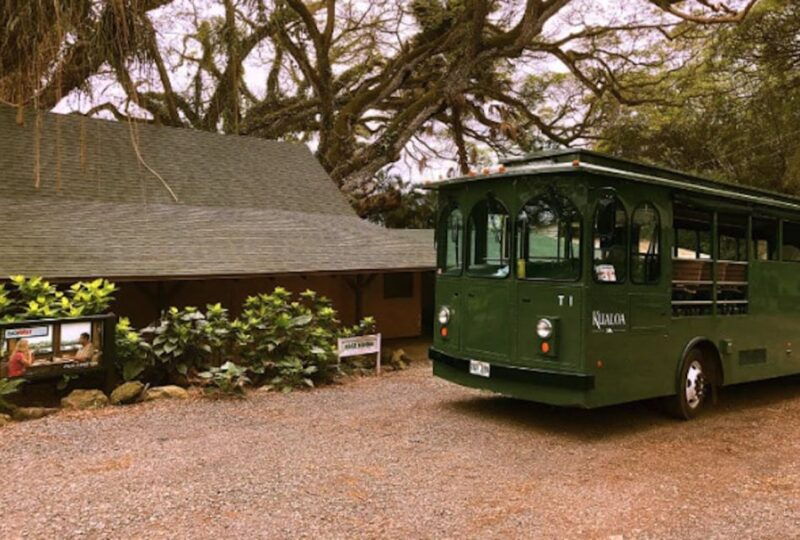 oahu-kualoa-movie-sites-jungle-and-buffet-tour-package