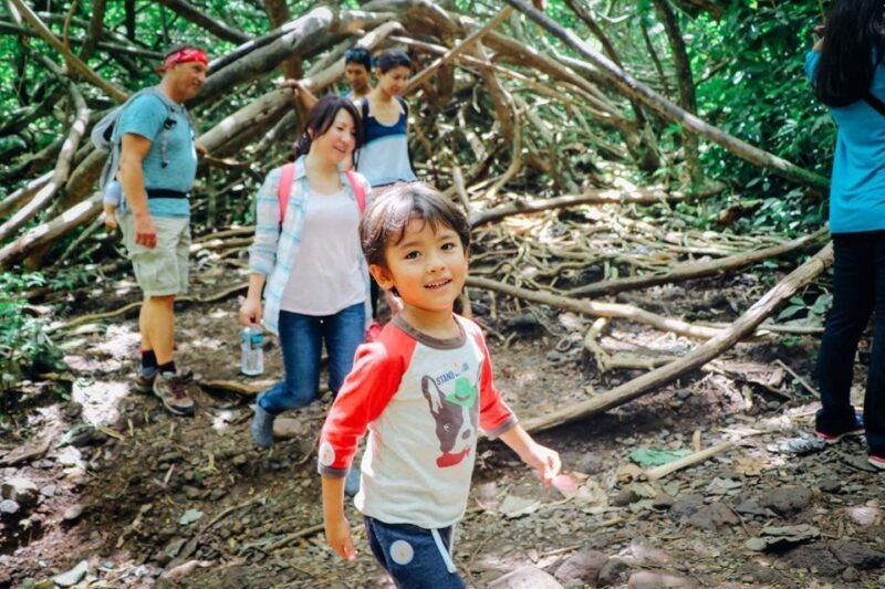 oahu-manoa-falls-waterfall-hike-with-lunch-and-transfers