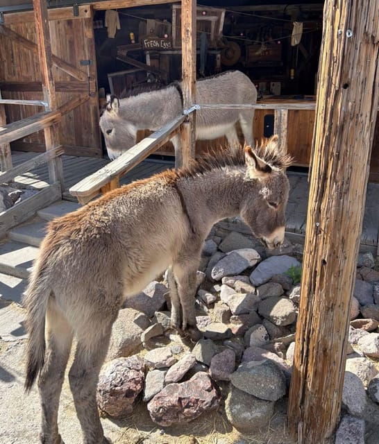 oatman-rt66-3-in-1-combo-tour