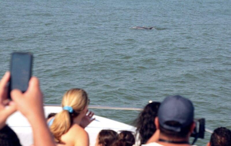 ocean-city-md-coastal-speedboat-tour-with-dolphin-spotting