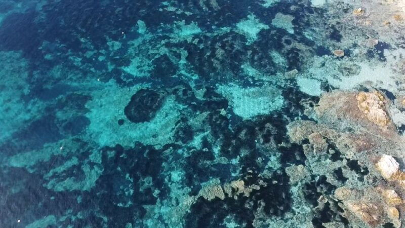 olbia-boat-tour-to-watch-dolphins-and-snorkeling