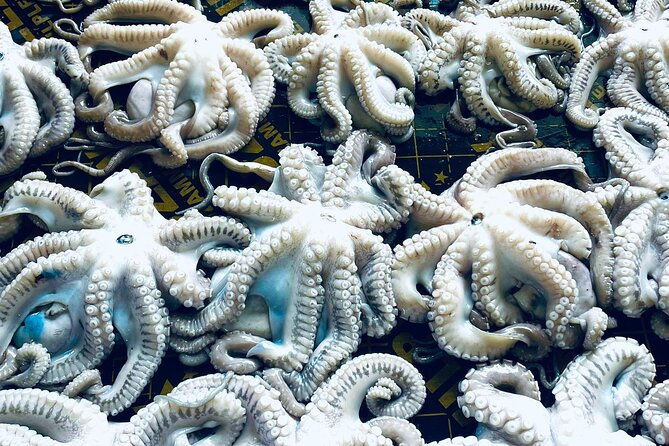 olhao-fish-market-food-tour