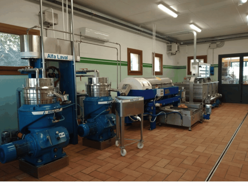 olive-mill-tour-and-tasting-in-the-padua-hills