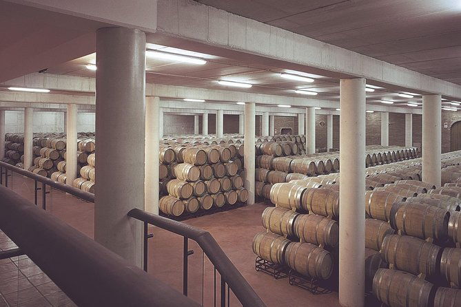 olive-oil-and-navarre-winery-visit-with-tastings-and-lunch-in-small-group-tour