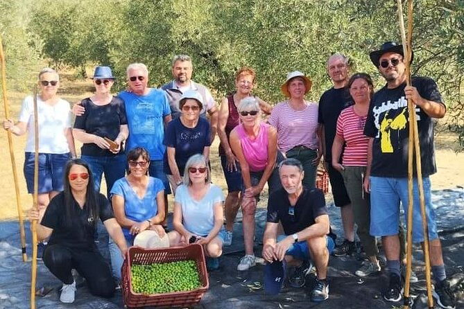 olive-oil-tasting-with-seminar-in-metagitsi-halkidiki