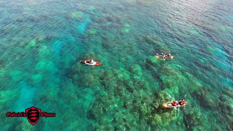 olowalu-guided-tour-over-reefs-in-transparent-kayak