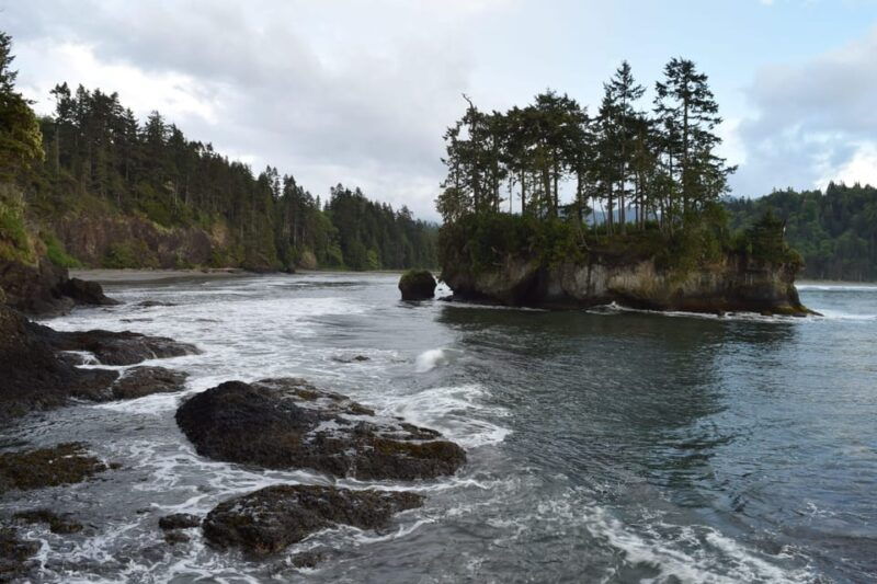olympic-national-park-half-day-tour