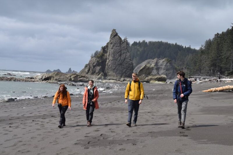 olympic-national-park-hoh-rain-forest-and-rialto-beach-tour