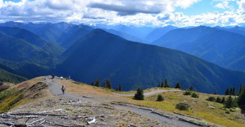 olympic-national-park-sol-duc-and-hurricane-ridge-tour