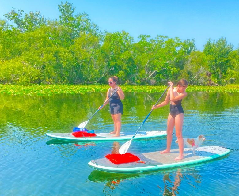 orlando-clear-kayak-and-paddleboard-2-hour-rental