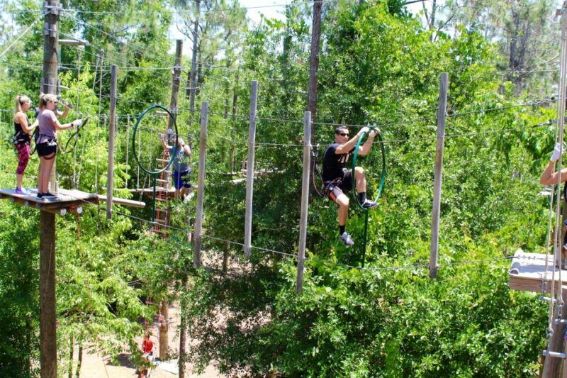 orlando-sightseeing-flex-pass-discounts-and-trolley-tour