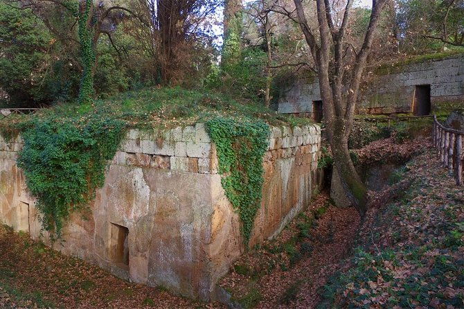 ostia-and-cerveteri-port-tour-driver-only-self-touring
