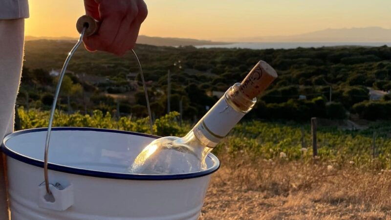 palau-picnic-in-a-gallura-estate