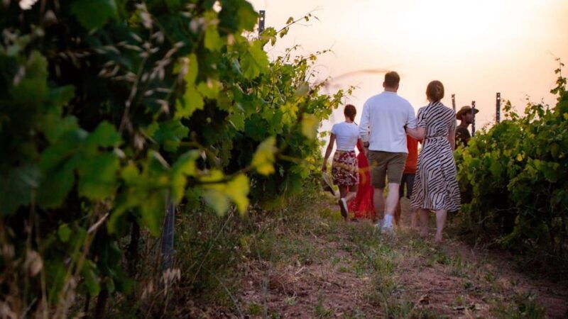 palau-wine-tasting-in-a-gallura-winery