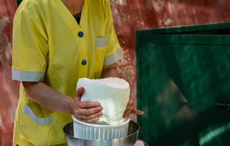 palazzolo-acreide-ricotta-cheese-and-farm-tour-with-tasting