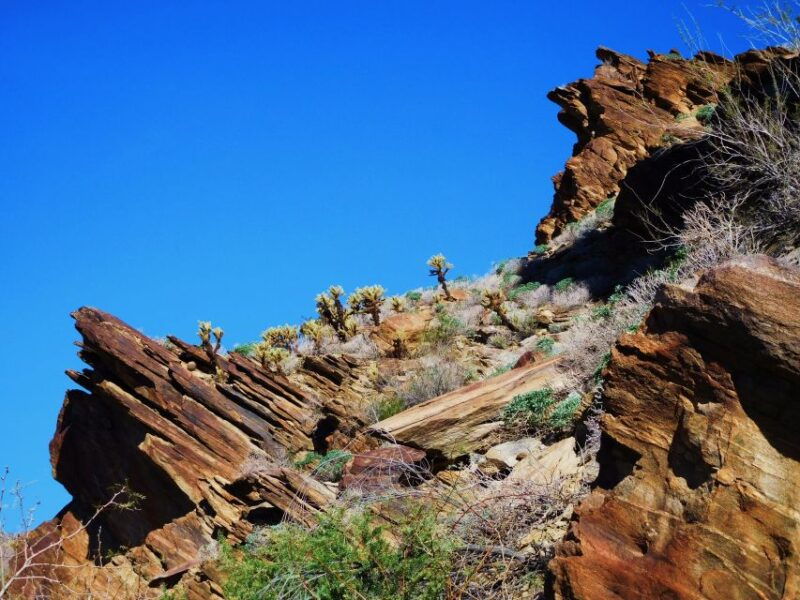 palm-springs-indian-canyons-hiking-tour-by-jeep