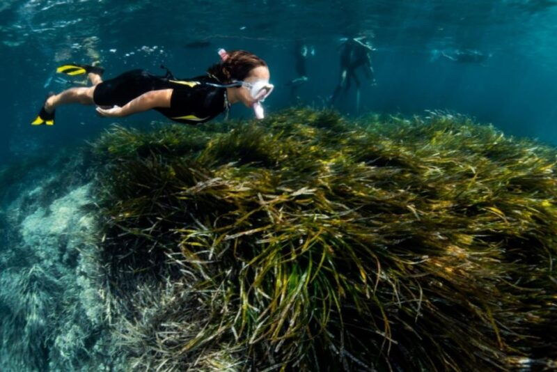 palma-de-mallorca-cala-vella-snorkeling-adventure