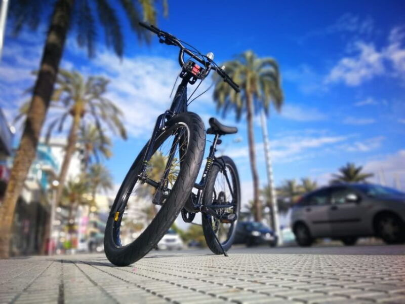 palma-de-mallorca-guided-bicycle-tour