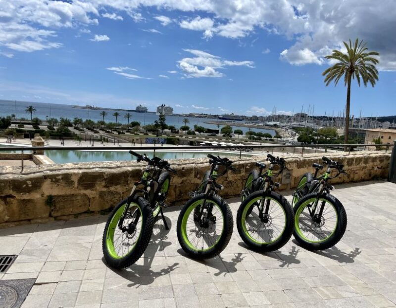 palma-guided-city-tour-with-a-fat-tire-e-bike