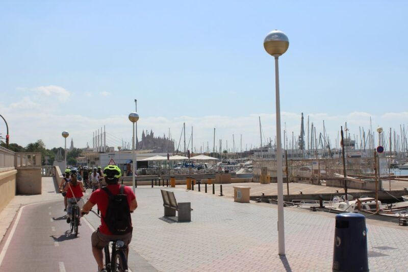 palma-shore-excursion-bike-tour-transfer-included