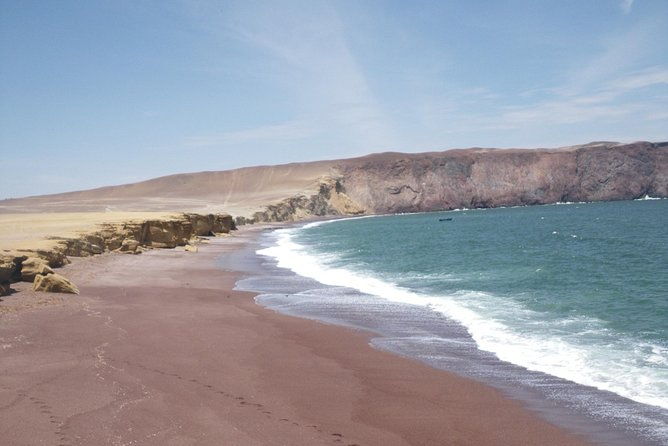 paracas-full-day-islas-ballestas-national-park-and-sandboarding-in-paracas