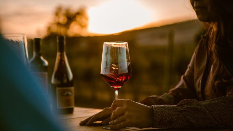 paso-robles-vineyard-rides-wine-adventure