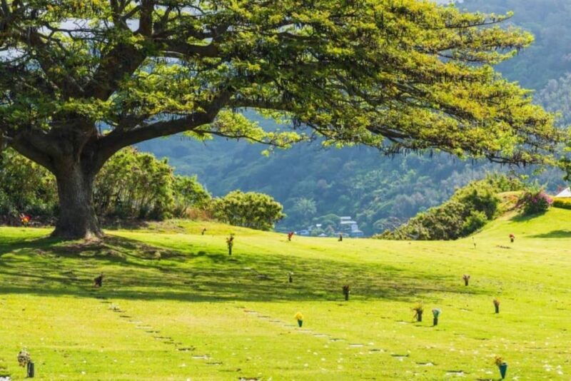 pearl-harbor-oahu-circle-island-tour