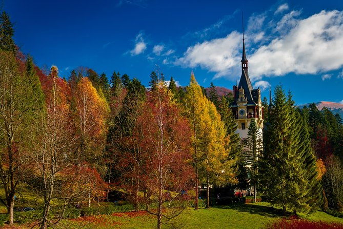 peles-royal-castle-wine-tasting-9-hours