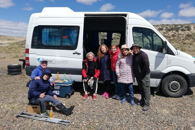 peninsula-valdes-tour-for-cruise-passengers
