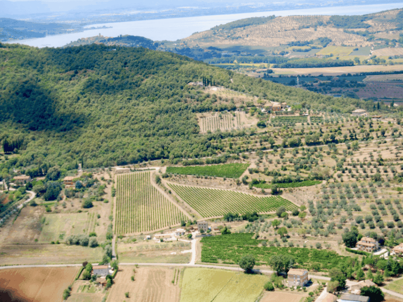 perugia-winery-visit-tasting-near-the-lake-trasimeno