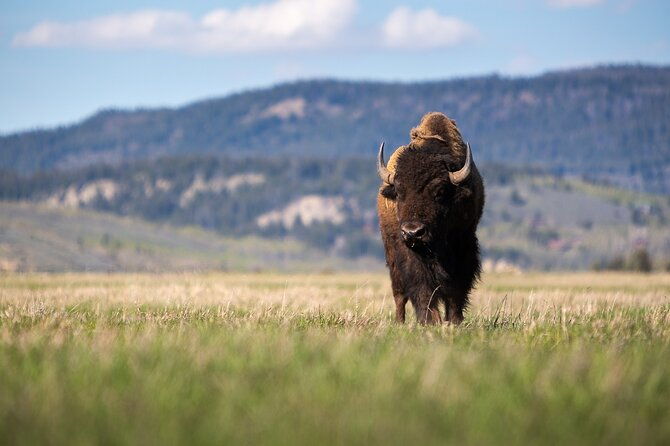 photography-workshop-in-grand-teton-national-park