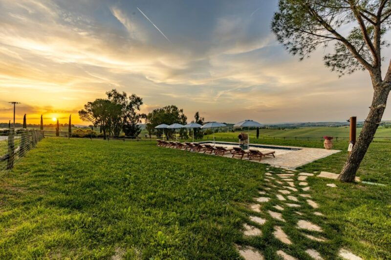 picnic-in-vineyards-with-a-bottle-of-rosso-di-montalcino