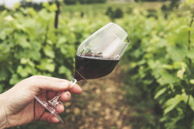 pico-island-full-day-wine-culture-tour