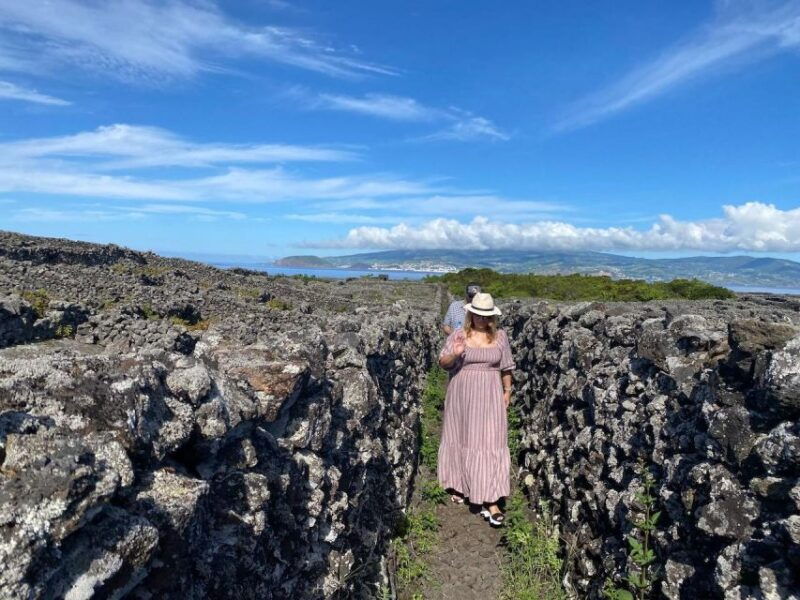 pico-island-wine-tasting-independent-producers-culture