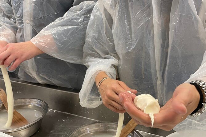 pisa-small-group-cheese-making-tasting-experience-max-6people