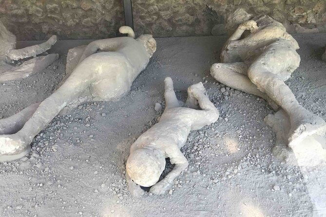 pompeii-private-guided-half-day-tour-with-transfer-from-positano