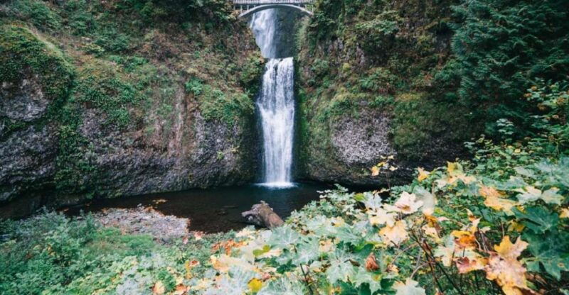 portland-columbia-river-gorge-waterfalls-afternoon-tour