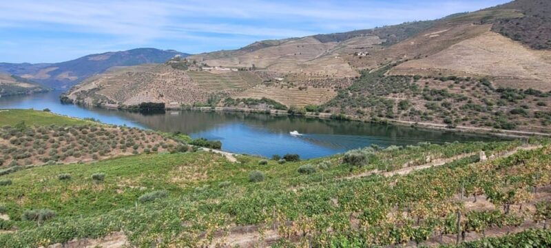porto-to-douro-better-experience-wine-and-portuguese-food