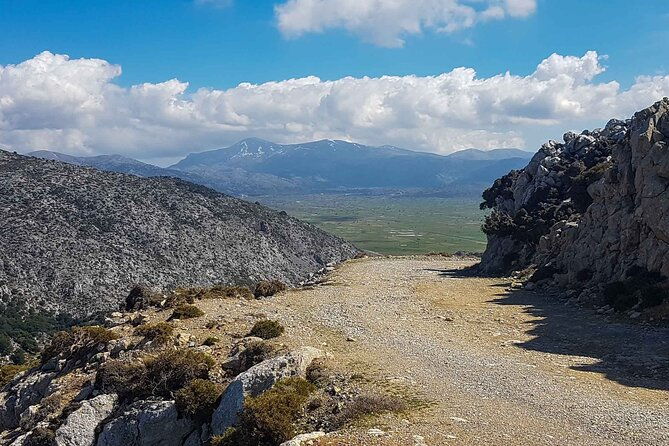 premium-off-road-tour-to-lasithi-plateau-olive-oil-tasting